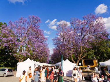 Atina, Yunanistan - 31 Mayıs 2025: Beyaz çadırlar ve insanların bulunduğu açık hava etkinliği, mor çiçeklerle çiçek açan jakaranda ağaçlarının altında gerçekleşti