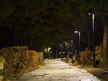 Gece bir parkta sönük bir taş patika, sokak lambalarıyla kaplı ve yapraklarla çevrili.