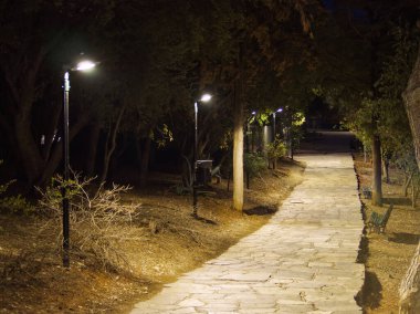 Geceleri ağaçlar ve yapraklarla dolu karanlık bir parkta kıvrılan sokak lambalarıyla aydınlatılmış taş bir patika.