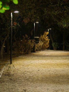 Ağaçlar ve çalılarla çevrili, sokak lambalarıyla aydınlatılmış bir bahçe yolu huzurlu bir gece manzarası..