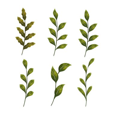 Düzenlenebilir suluboya yaprak kolu vektörü, beyaz arkaplanda izole edilmiş