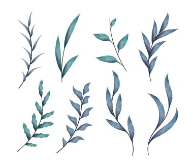 Yapraklı suluboya dallar, beyaz arkaplanda izole vektör elementleri.