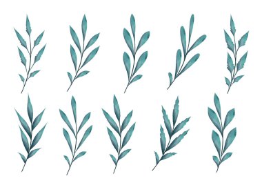 Watercolor branches with leaves, isolated vector elements on white background.