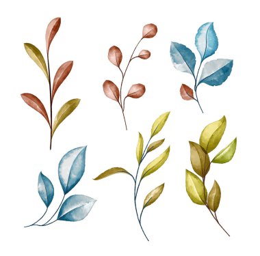 Yapraklı suluboya vektör dalları, beyaz arkaplanda izole sonbahar dekor elementleri.