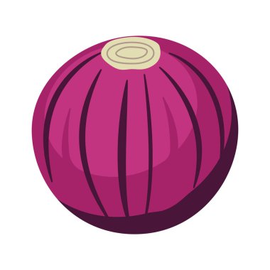 Tüm Yuvarlak Taze Kırmızı Soğan Sebzesinin Vektör Tasarımı