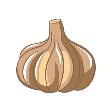 Tam Ham Sarımsaklı Baharat Sebze Vektör Tasarımı