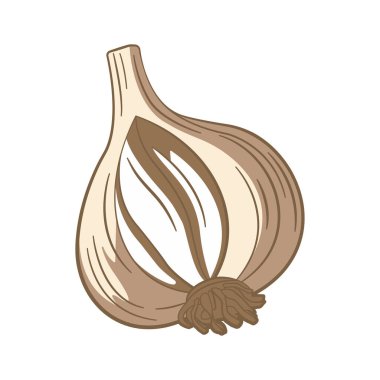 Tam Ham Sarımsaklı Baharat Sebze Vektör Tasarımı