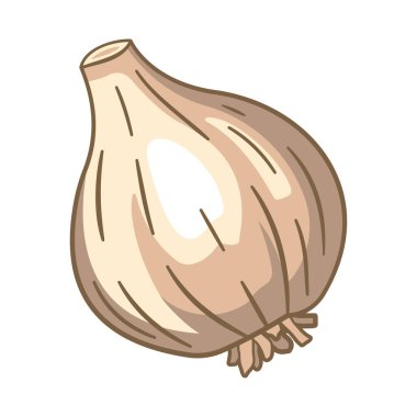 Tam Ham Sarımsaklı Baharat Sebze Vektör Tasarımı