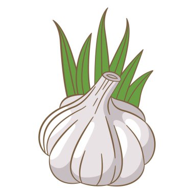 Yeşil Yapraklı Beyaz Sarımsaklı Baharatlı Sebze Vektör Tasarımı