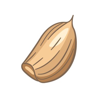 Sarımsaklı baharatlı sebze karanfilinin Vektör Tasarımı