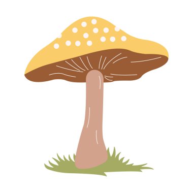 Şirin Sarı Mantar Polka Mantar Noktası Mantar Besin Vektörü Çizim Etiketi