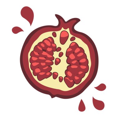 Dilimlenmiş Taze Nar Sağlıklı Beslenme Vektörü İllüstrasyonu