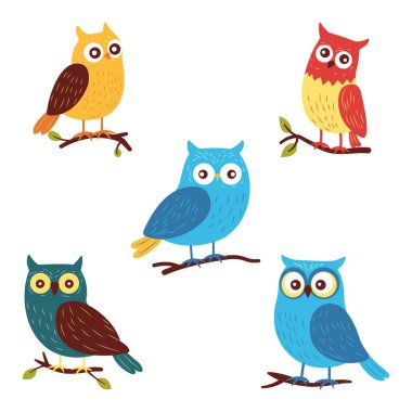 Ağaç dalına tünemiş Sevimli Renkli Baykuş Kuşu Koleksiyonu