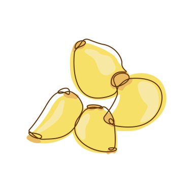 Sağlıklı Gıda Malzemeleri Beyaz Sarımsak Karanfili Çizgi Sanat Tasarımı Sebzesi