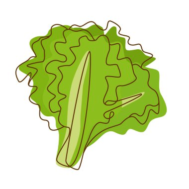 Sağlıklı Yeşil Gıda Marul Yaprak Sebze Çizgi Sanat Tasarımı