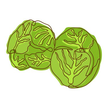 Sağlıklı Yeşil Gıda Bileşen Lahana Sebze Çizgi Sanat Tasarımı