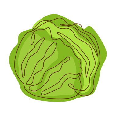 Sağlıklı Yeşil Gıda Bileşen Lahana Sebze Çizgi Sanat Tasarımı