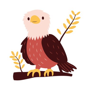 Şirin Kel Şahin Şahin Kuş Ormandaki Ağaç Dalı 'na tünemiş