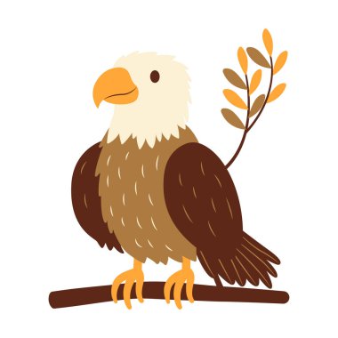 Şirin Kel Şahin Şahin Kuş Ormandaki Ağaç Dalı 'na tünemiş