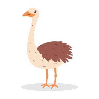 Şirin Devekuşu Kahverengi Afrika Büyük Kuş Doğa Hayvan Karakteri