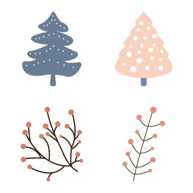 Doğa Çam Kozalaklı Kozalak Ağacı Ökse otu Bitkisi Kış Koleksiyonu