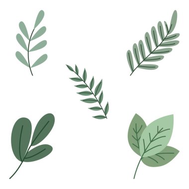 Yeşil Yaprak Elementi Yaprak Yaprakları Taze Doğal Bitki Yaprakları