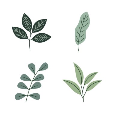 Yeşil Yaprak Elementi Yaprak Yaprakları Taze Doğal Bitki Yaprakları