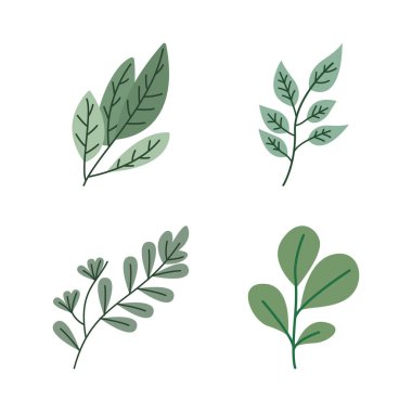 Yeşil Yaprak Elementi Yaprak Yaprakları Taze Doğal Bitki Yaprakları
