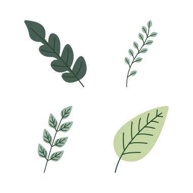 Yeşil Yaprak Elementi Yaprak Yaprakları Taze Doğal Bitki Yaprakları