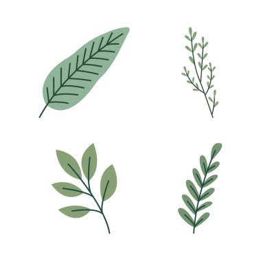 Yeşil Yaprak Elementi Yaprak Yaprakları Taze Doğal Bitki Yaprakları