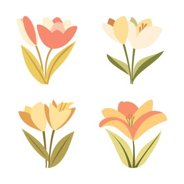 Parktaki Güzel Lale Taze Çiçek Çiçeği Koleksiyonu