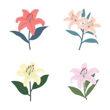 Parktaki Güzel Lily Taze Doğal Çiçek Bitkisi Koleksiyonu