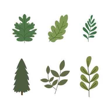 Çam kozalaklı ağaçların kamp elementleri Yaprak Yaprakları