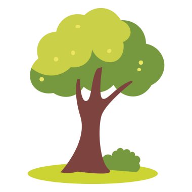 Taze Yeşil Doğal Ağaç Ormanında Çevre