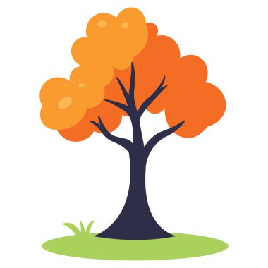 Sonbahar mevsiminde Ormanda Doğal Portakal Ağacı