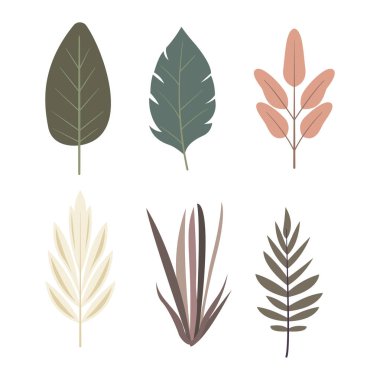 Tropikal Yeşil Yaprak Elementi Parkta Yaprak Bitkisi Dekorasyonu Yapıyor