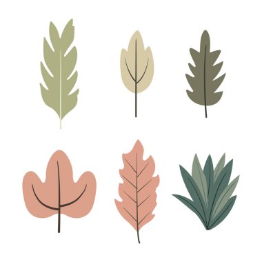 Sonbahar Yaprak Elementi Parkta Yaprak Bitkisi Dekorasyonu Yapıyor