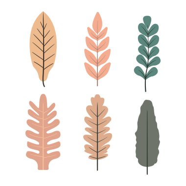 Sonbahar Yaprak Elementi Parkta Yaprak Bitkisi Dekorasyonu Yapıyor