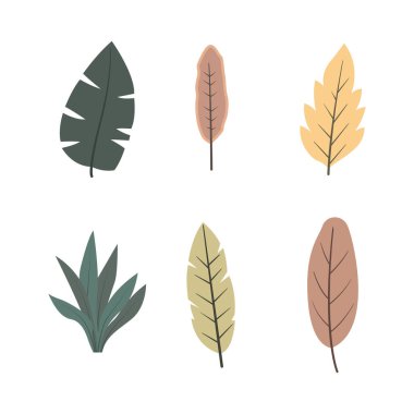 Sonbahar Yaprak Elementi Parkta Yaprak Bitkisi Dekorasyonu Yapıyor