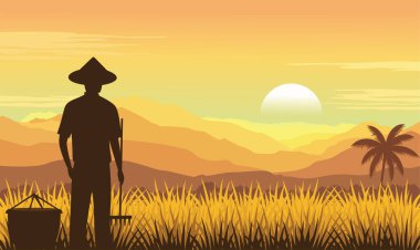 Çiftçi Silueti Dağlarda Pirinç Tarlası Pilav Manzarası Gün Doğumu Günbatımında Altın Güneş