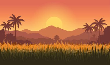 Dağ 'da Günbatımında Güzel Altın Güneş Pirinç Tarlası Doğa Manzarası