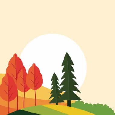 Tepedeki Çam Ağaçlarının görüntüsü Gökyüzünde Büyük Güneş ile