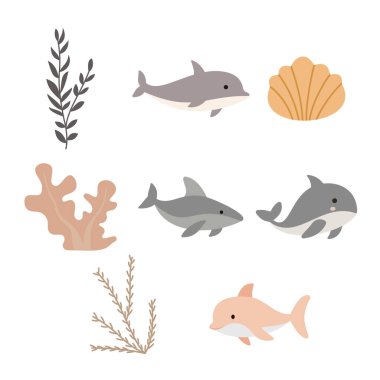 Deniz Okyanusu Sahil Yaşam Elementleri Yunus Köpekbalığı Balinası Deniz Kabuğu Kabuğu Kabuğu