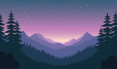 Güzel Dağlar, Ormandaki Çam Ağaçlarıyla Doğayı Keşfeder Karanlık Gökyüzünde Güneş Işığıyla