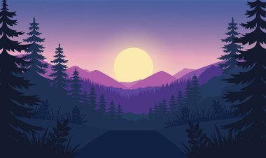 Güzel Dağlı Yol Doğa Manzarası Ormandaki Çam Ağaçları Şafakta Güneşli Gökyüzü