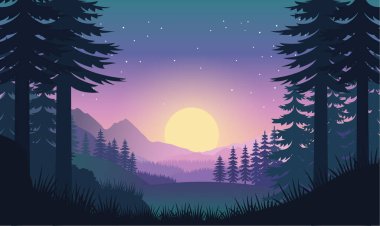 Güzel Dağlar Doğayı keşfeder Ormandaki Çam Ağaçlarıyla Şafakta Güneşli Gökyüzü