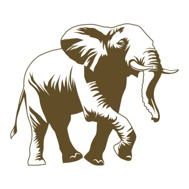 Görkemli Devler Fil Dev Memeli Hayvan