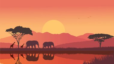 Afrika 'nın Vahşi Güzelliği Kızıl Gün Batımının Altında Siluetler