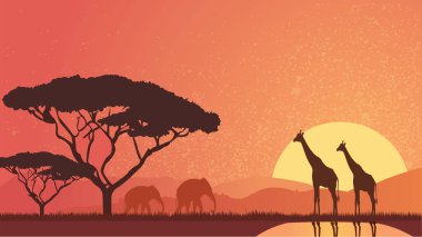 Afrika Savannah Silueti ve Zürafalar ve Filler