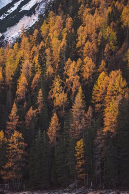 Lago di Braies Pragser Wildsee Drone İtalyan Hava Yolları Tekneleri ve Yansıması. Yüksek kalite fotoğraf